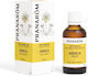 Arnica Oil 50ml