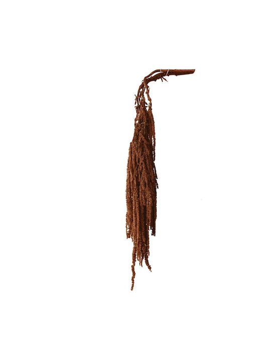 Dried Brown Plant 120cm 5 Pieces Marhome