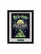Gbeye Rick Morty Print Înramat Navă 30x40