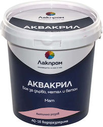 Akvakril Aq-16 Paint Wood Metal Concrete Lackprom
