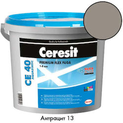 Ceresit Ce 40 Anthracite Grouting Mix 13