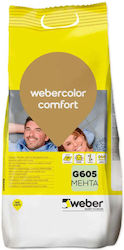 Grout Mix Indoor Outdoor Use Weber Color Comfort G605 Mint