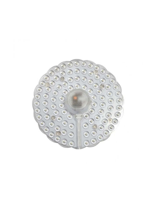 Lightex Διακοσμητικό Φωτιστικό LED Φυσικό Λευκό 4000K Πίνακας