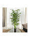 Artificial Bamboo Plant 155cm Hd Hd-10971
