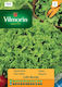 Lettuce Seeds L.bionda Vilmorin