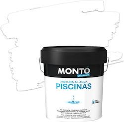 Monto Χρώμα Πισίνας