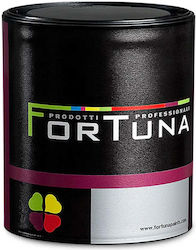 Sabbia База 0.9 L Fortuna