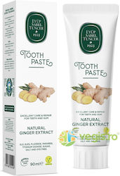 Toothpaste Natural Ginger Extract 90ml Toothpaste Natural Ginger Extract 90ml