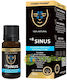 +8 Sinus 8 Reine Integral Ätherische Öle 10ml
