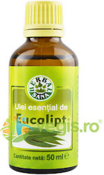 Eucalyptus Essential Oil 50ml Eucalyptus Essential Oil 50ml