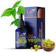 Hair Oil Split Ends 10ml