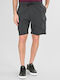 Herren Shorts Grau