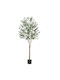 Costway Artificial Olive 180 cm Plastic Pot Green 180 x 17 x 17 cm Hz10380-1
