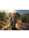 Photo Wallpaper Wall Gray 160x110cm