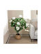 Plantă Decorativă În Ghiveci Hortensia Rossima