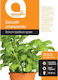 Basil Botanic Seeds