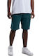 Herren Shorts Grün