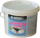 Paint Wet Rooms W Lackprom Dispovit