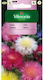 Vilmorin Broomcorn Samen Mix