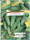 Moxie F1 Ivesto Gherkin Seeds