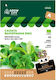 Valerian Lettuce Seeds Supermarket