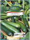 Pumpkin Seeds Black Beauty Ivesto