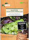 Organic Lettuce Seeds 4 Seasons Regreen