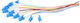 Lg Optic Pigtail LC Singlemode 12 Bucăți Easystrip Multicolor LSZH G657