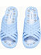 Blue Women's Flip Flops