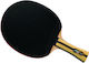 Rachetă de Ping Pong Dhs 4002 Fl