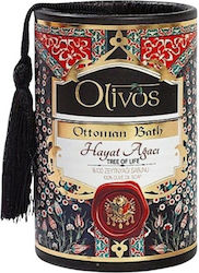 Luxury Soap Olive Oil Olivos Ottoman Tree Life 2x100g