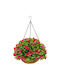 Decorative Greenery Hanging Basket Rossima Bougainvillea