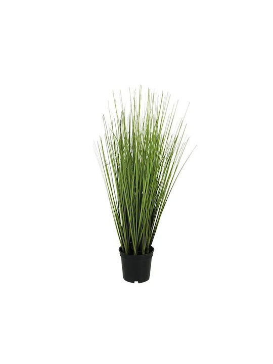 Shrub Grass Onion Green Pot H50cm 4/24pcs