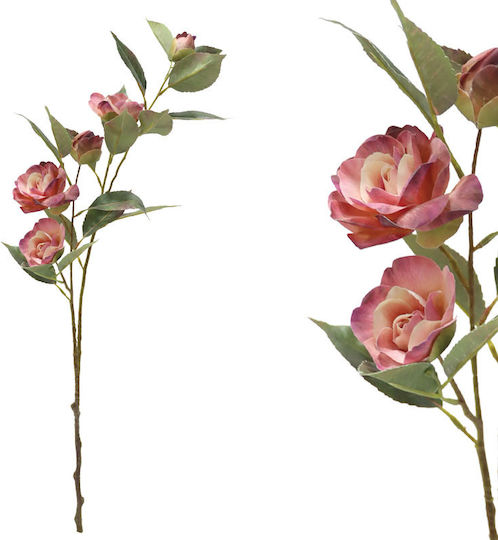 Rozes Zweigstelle Kameliarosa 5 Blüten 69cm 12/120 Stück Rozes Zweigstelle Kameliarosa 5 Blüten 69cm 12/120 Stück