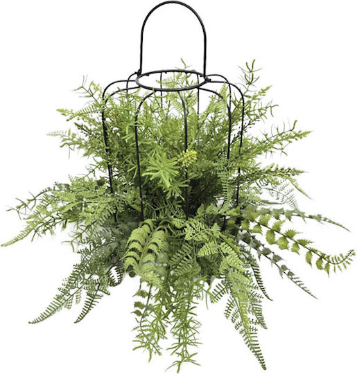 Farn in Topfpflanze 38cm Marhome