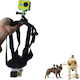 Dog Mount Double Dog Fetch Gopro Double