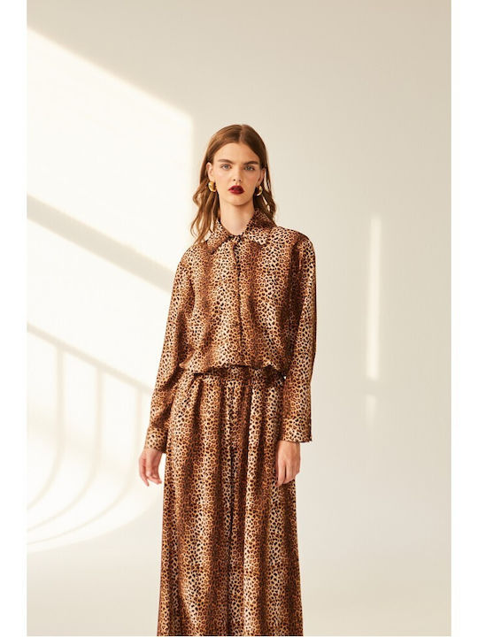 Zarra Collection