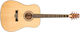 Peavey Acoustic Guitar