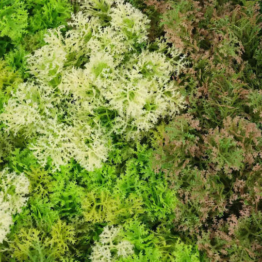 Rossima Panou Sintetic Foliage 1x1m