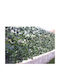 Panou Sintetic Foliage 3x1.5m