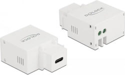 DeLock Keystone Module USB 1τμχ