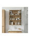 vidaXL Rectangular Bathroom Mirror with Cabinet 43x16cm Brown
