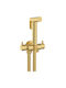 Interflex Wand Satz Bidet Gold