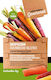 Carrot Seeds Rainbow Blend Botanica