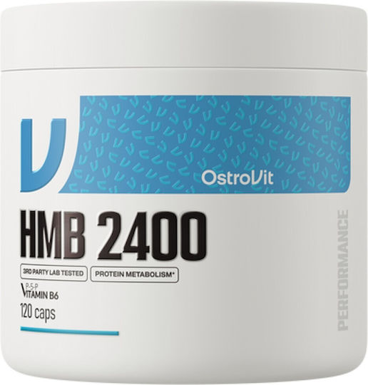 OstroVit Hmb 2400 Специална Хранителна Добавка 120 Капсули
