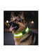 Dog Collar Reflective Tape Light Green Adjustable Metal Buckle 60x2.5cm