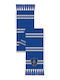 Kids' Blue Scarf