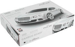 Car Lamps Hid Xenon Kit H1 Canbus Pro 6500K 9-32 Volt 35 Watt Car Lamps Hid Xenon Kit H1 Canbus Pro 6500K 9-32 Volt 35 Watt