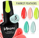 Mixcoco Σετ 5 Βερνίκια 15ml Parrot Feathers