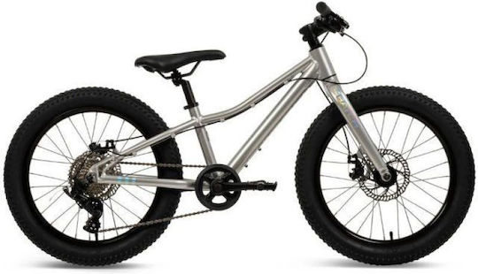 Rower 20" Bicicletă Copii Mountain Bike cu Cadru din Aluminiu Argintiu